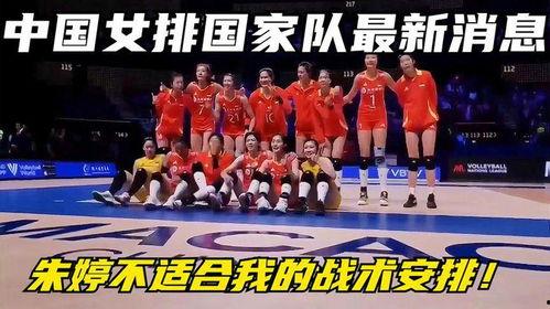 中国队最新爆料新闻,最新爆料揭秘备战细节与备战成果